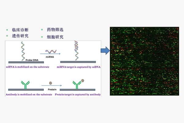 Application of Spectrometer Based on Terahertz Microfluidic Chip